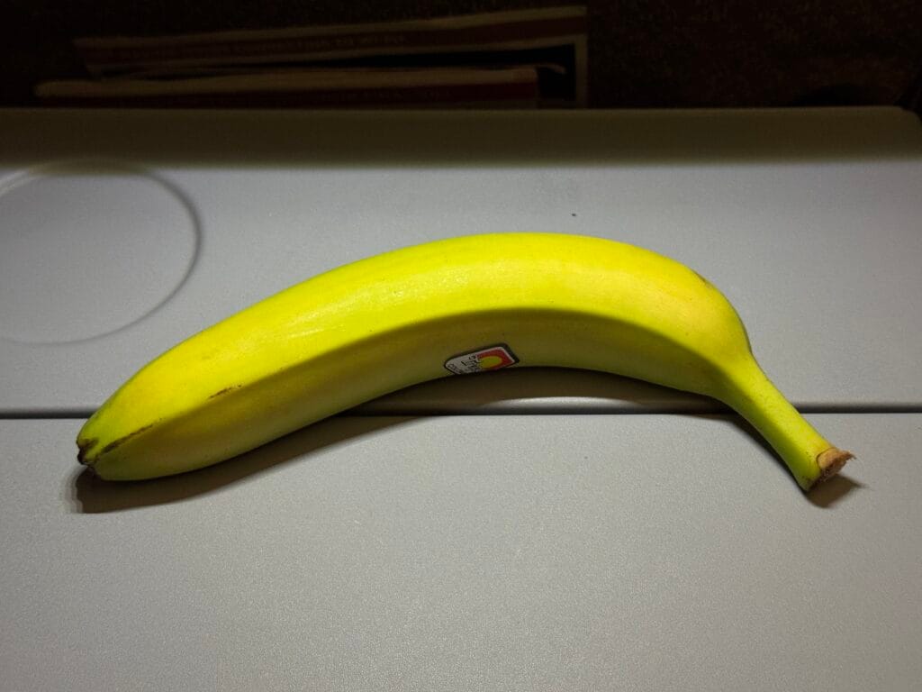 [飛行體驗] 新加坡航空 Singapore Air SQ335/SQ878 巴黎(CDG)-新加坡(SIN)-台北(TPE)