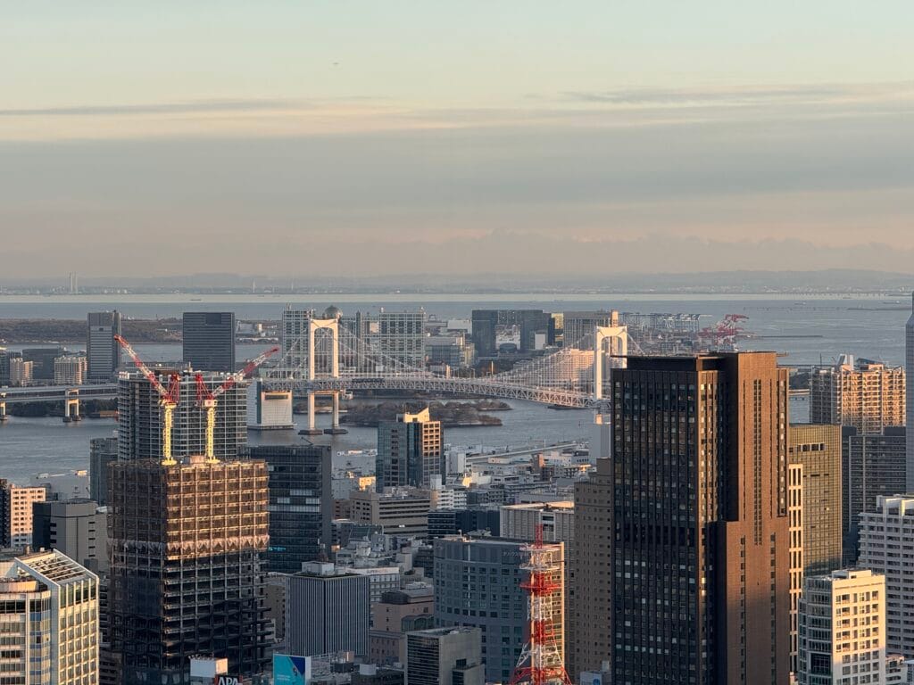 [景點介紹] 日本東京 日景與夜景免費觀景台推薦