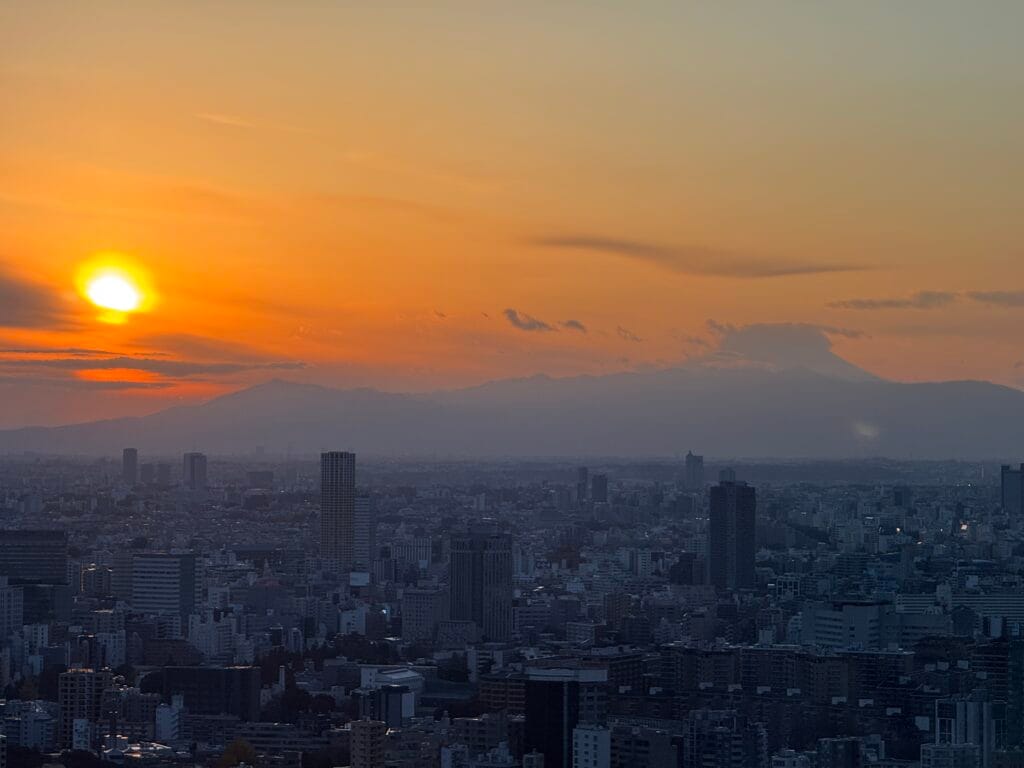[景點介紹] 日本東京 日景與夜景免費觀景台推薦